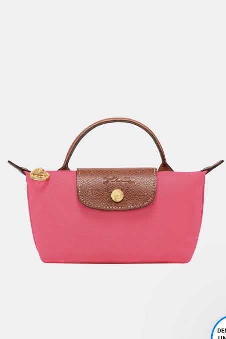 LongChamp mini